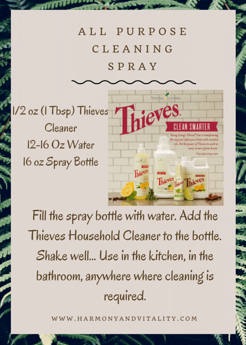 All Purpose Thieves Cleaning