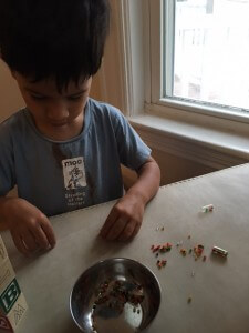 Anish&Capsules