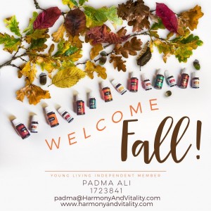 FallGraphic