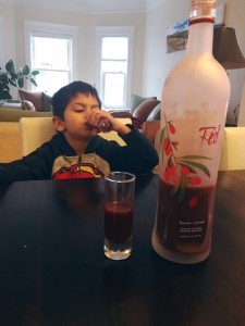 NingXia-Anish