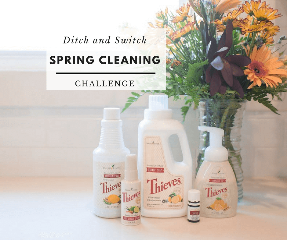 DitchAndSwitchSpringCleaningChallenge