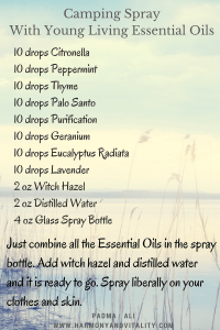 HomemadeBugSpray